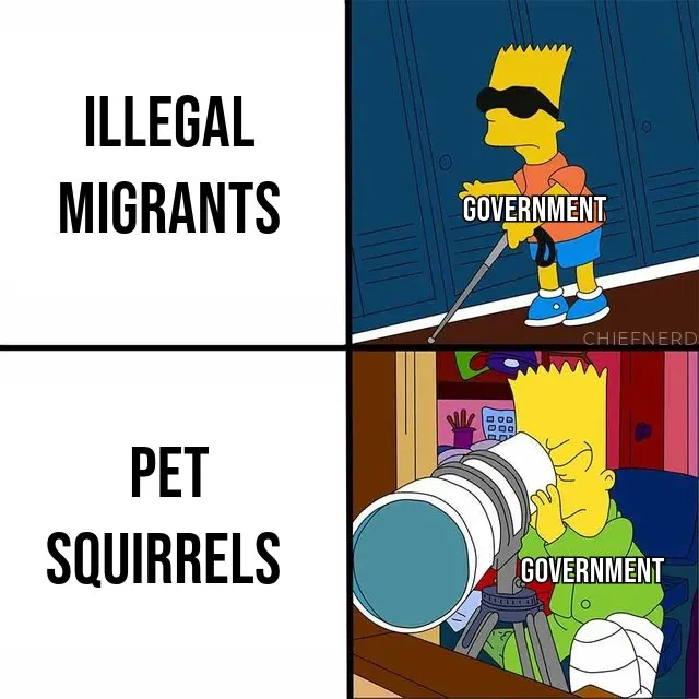 Peanut the squirrel memes