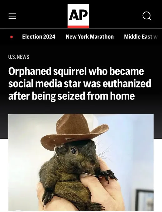 Peanut the squirrel memes