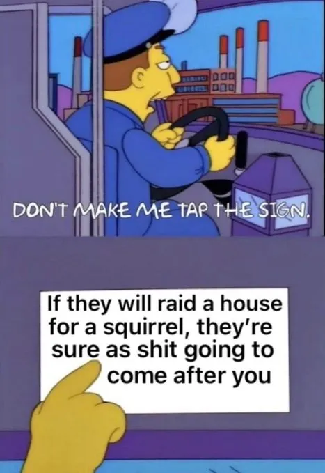 Peanut the squirrel memes